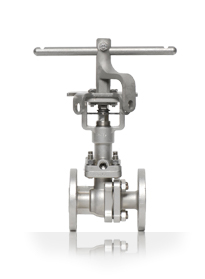 featurepic-Sclass